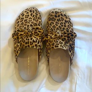 Loeffler Randall Mules